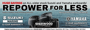 Banner Ad - Repower for Less (10.5 x 3.57 in).png