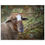 Thumbnail: Galahad's Sanctuary Photographic Poster - Nemo The Sheep