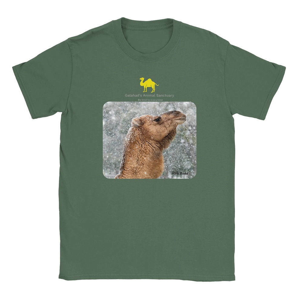 Thumbnail: Galahad's Male (Unisex) Photo T-Shirts - Thor, Tinkerbell, Milkshake & Bonnie