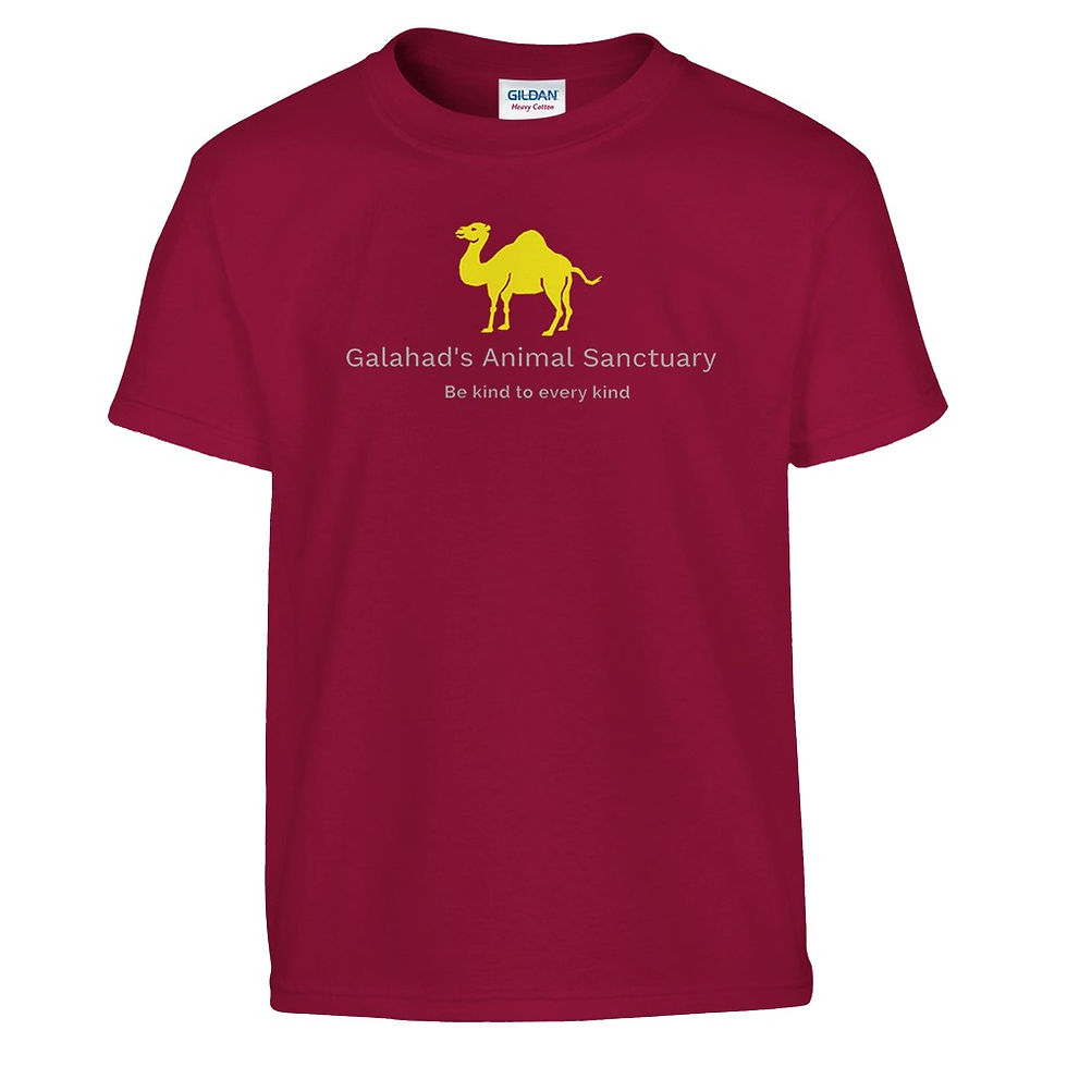 Thumbnail: Children's Galahad's Sanctuary Logo T-Shirt – Soft & Durable