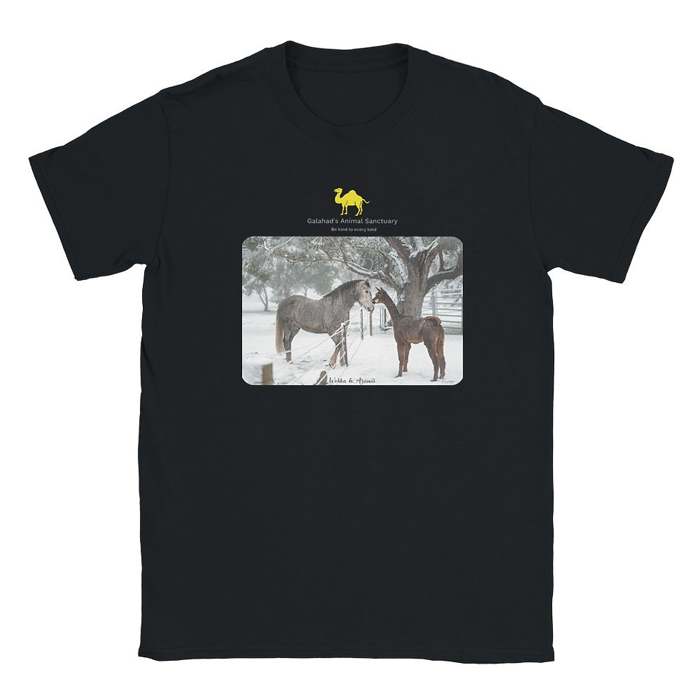 Thumbnail: Galahad's Male (Unisex) Photo T-Shirt - Catapult, Wokka/Sunny, Wok/Aramis, Kosco
