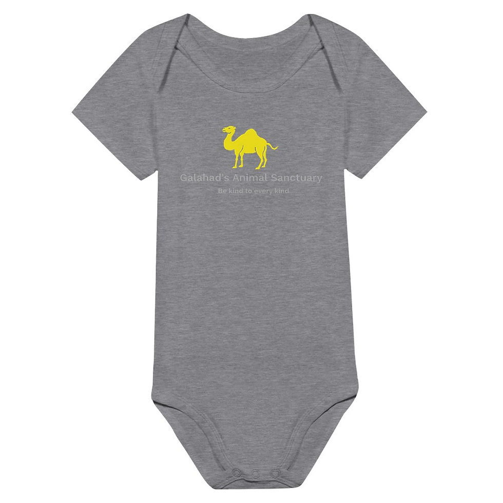 Thumbnail: Galahad's Sanctuary Logo Baby Onesie - Kindness & Compassion Design