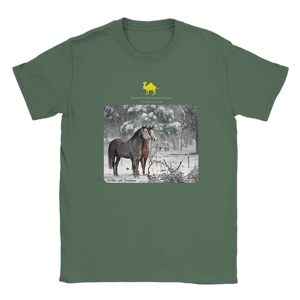 Thumbnail: Galahad's Male (Unisex) Photo T-Shirt - Catapult, Wokka/Sunny, Wok/Aramis, Kosco