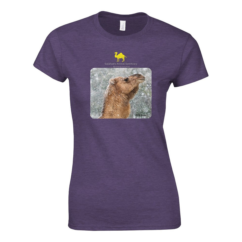 Thumbnail: Galahad's Women (Unisex) Photo T-Shirts  - Tinkerbell, Wokka, Trotts & Milkshake