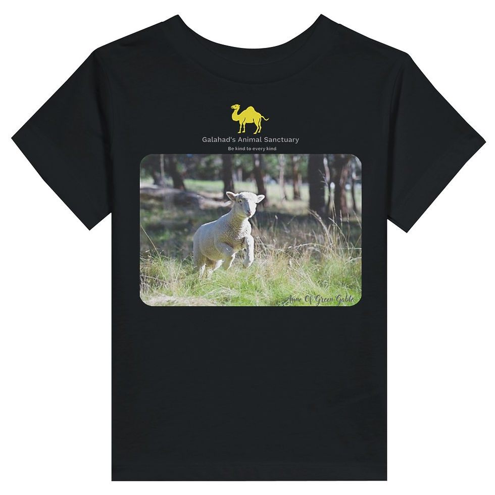 Thumbnail: Child's T-Shirts - Milkshake, Anne, Wokka & Sundance, Twinkles & Tinkerbell