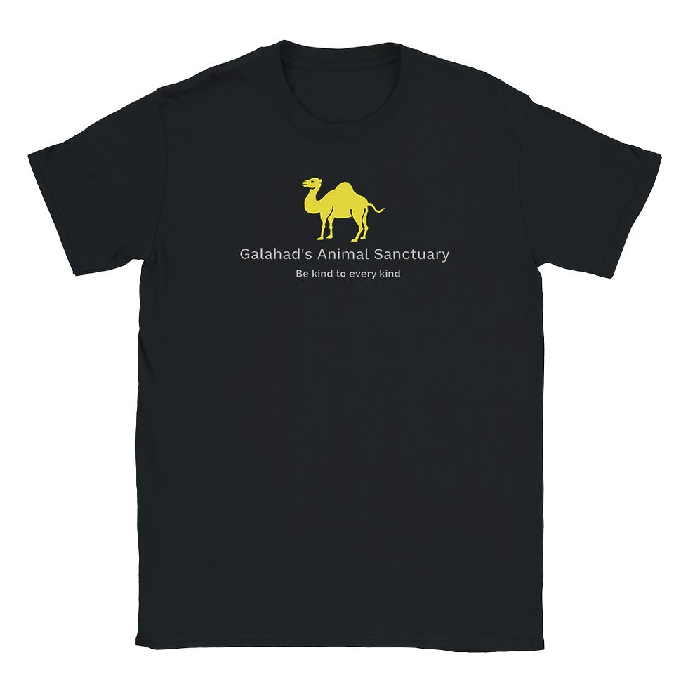 Thumbnail: Children's Galahad's Sanctuary Logo T-Shirt – Soft & Durable