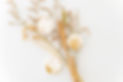 Rosemary and Peppermint shower steamer picture