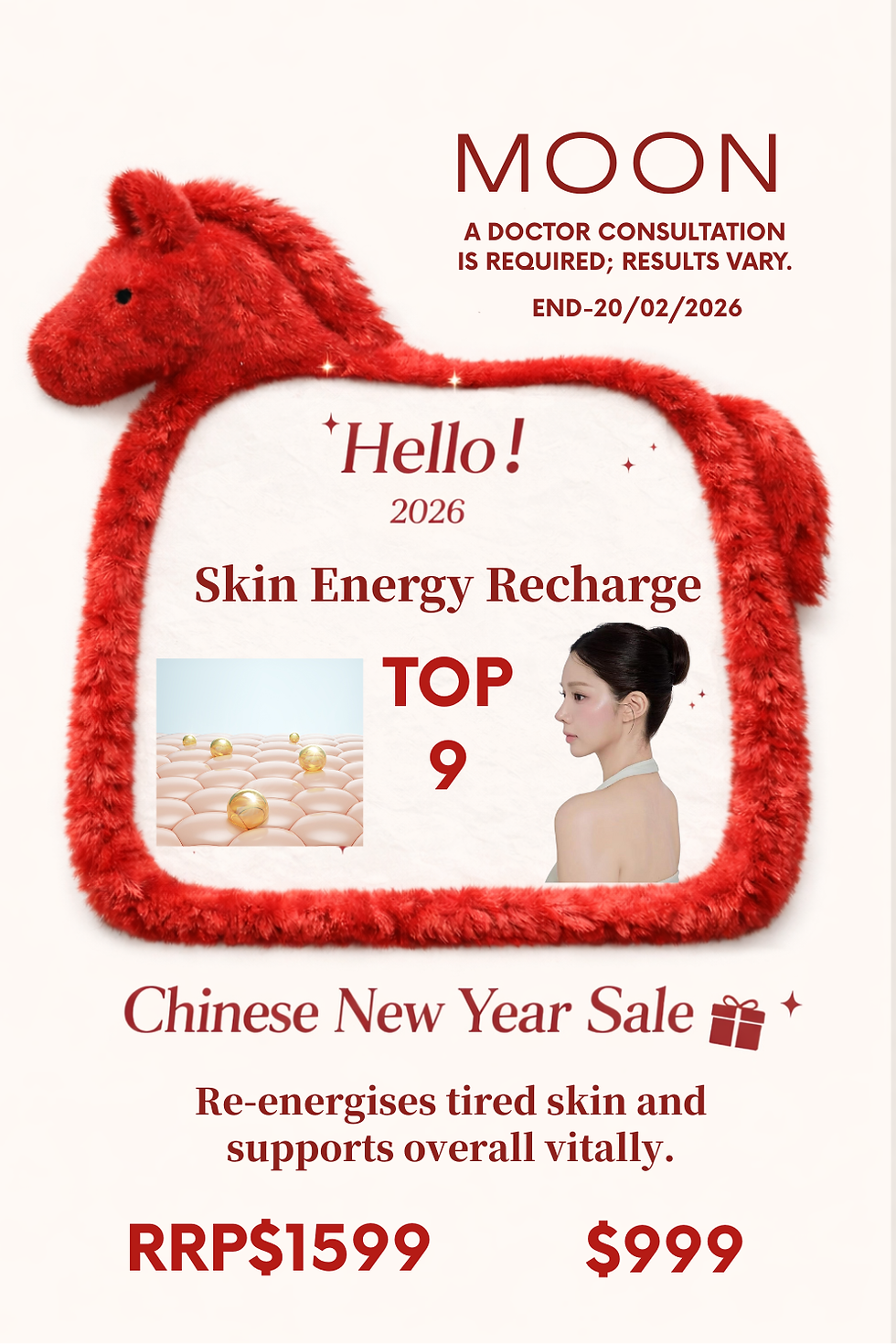 Chinese New Year Sale