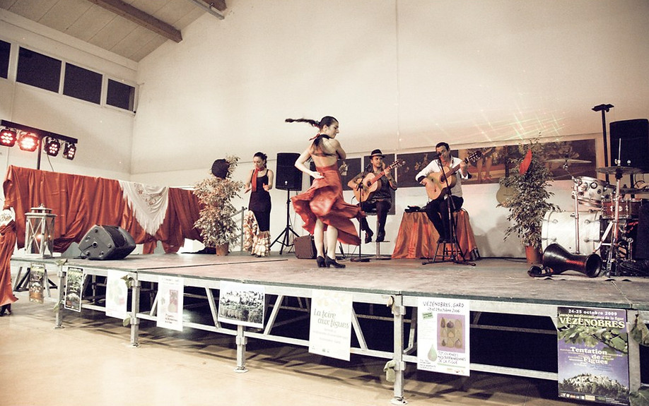 groupe avec danseuse flamenco, animation spectacle, repas d'entreprise, mariage, vin d'honneur, soirée privée, apéritif dinatoire.