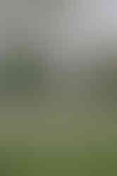 Timo Fust Photography_Siedlung Wyde-1