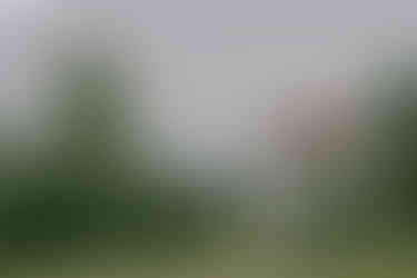 timofust_planwerk remo koller_spitalgaessli-2