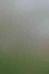 Timo Fust Photography_Siedlung Wyde-6