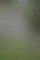 Timo Fust Photography_Siedlung Wyde-8