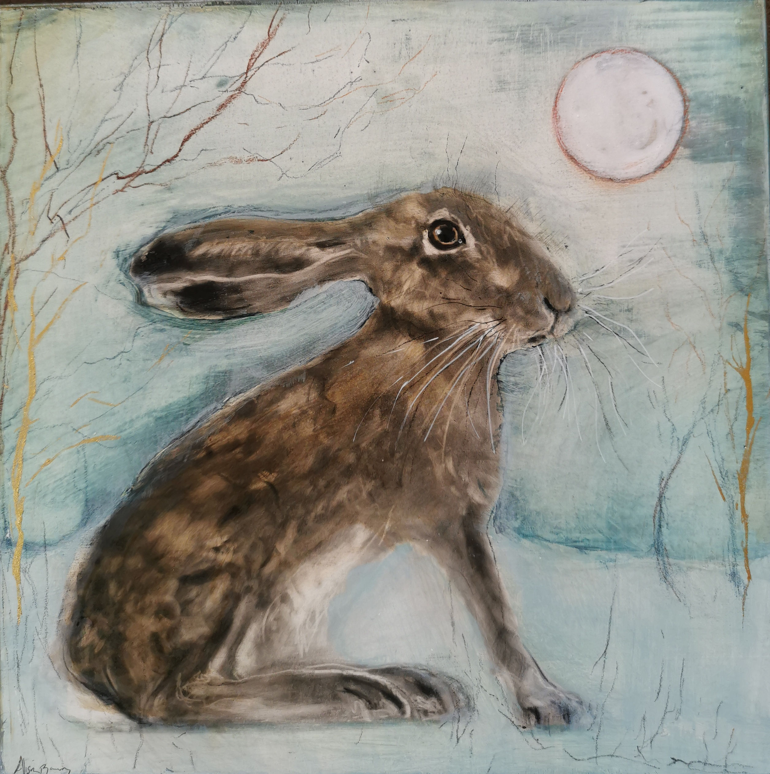 Midwinter Hare 