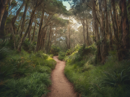 Outdoor Therapy for Teens in Knysna: Walk and Talk