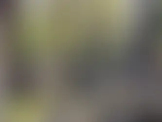 Nimen lisäys hautakiveen Tampere Kalevankangas