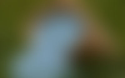 Азотні добрива – що це таке та з чим його «їдять»