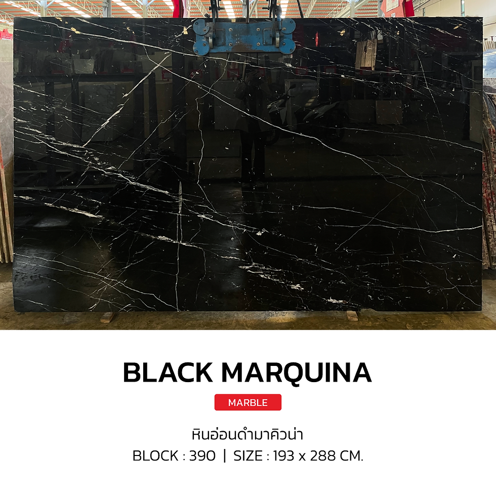 ภาพขนาดย่อ: ท็อปโต๊ะหินอ่อนดำมาคิวน่า (Black Marquina Marble)