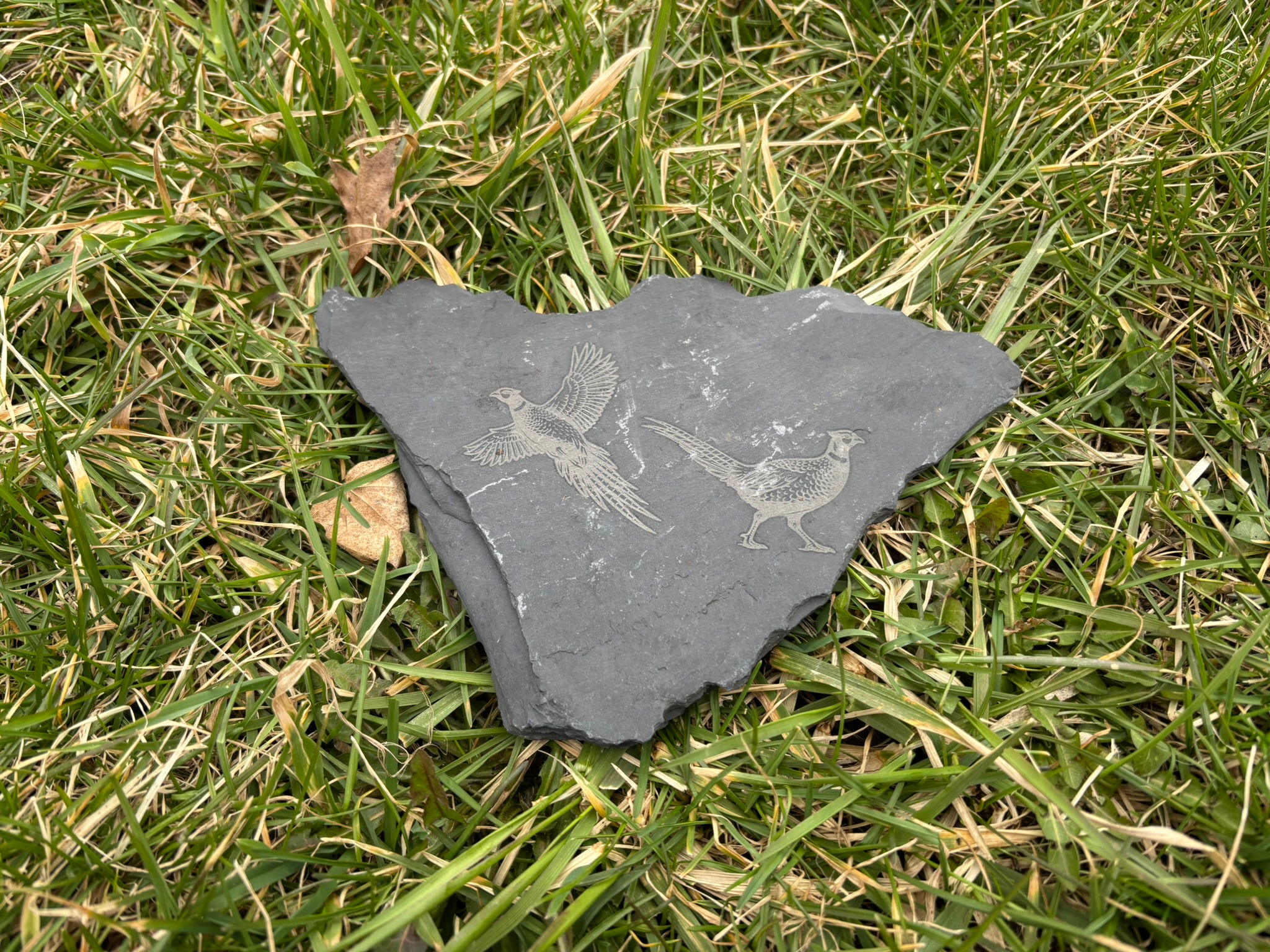 Pheasants Slate Rock