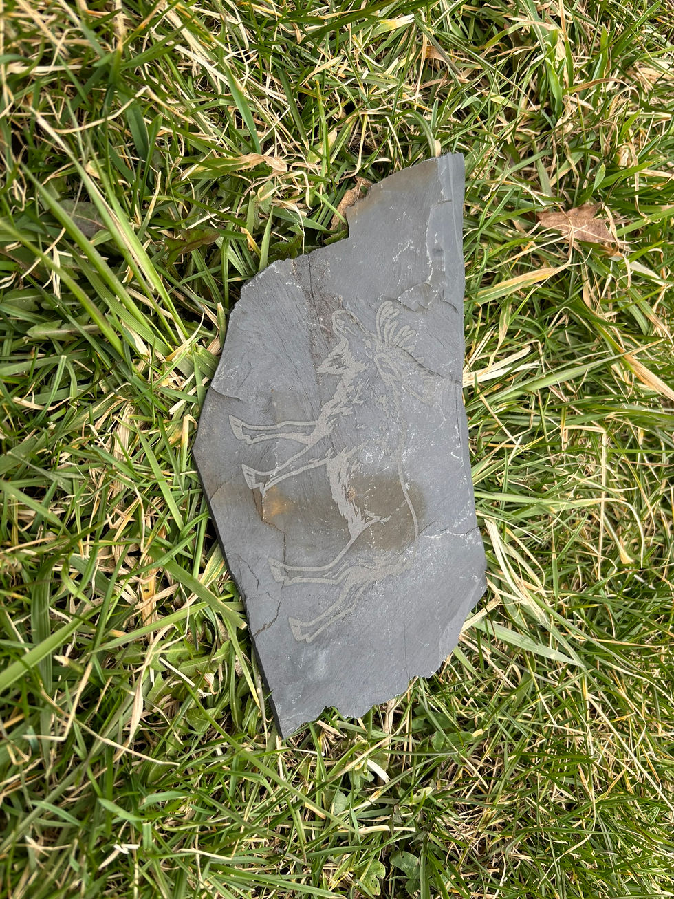 Thumbnail: Moose Slate Rock