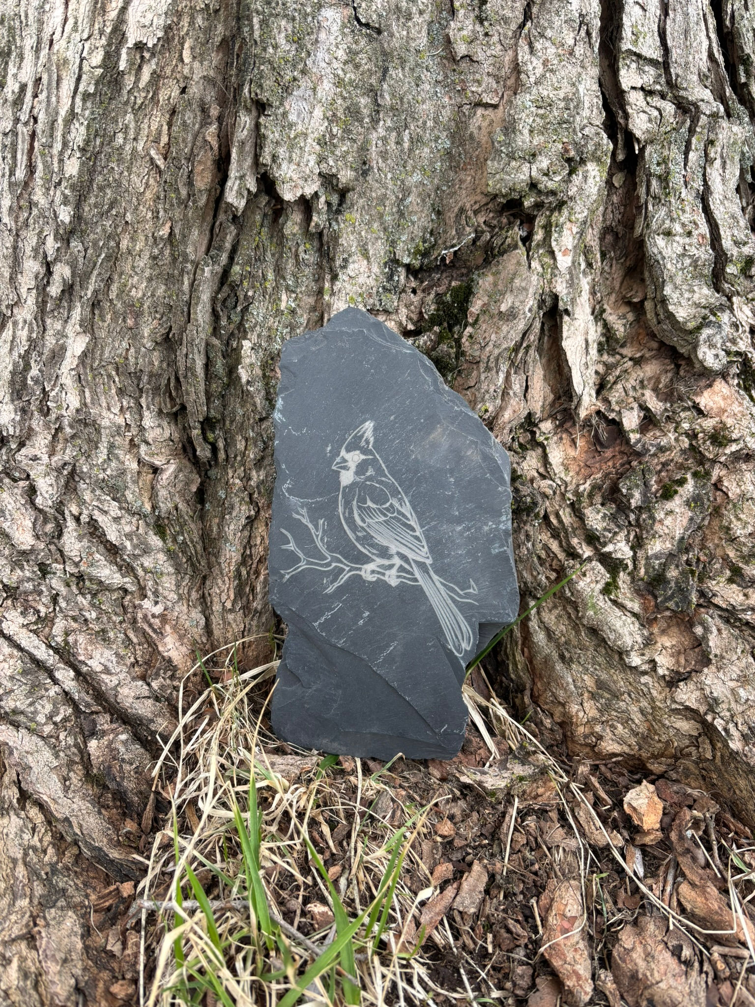 Cardinal Bird Slate Rock
