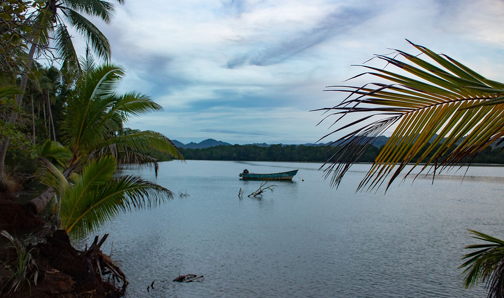 The sea that merges with the mangrove rivers on Isla de Cañas.