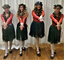 bla3 d15 Christmas Island.jpg