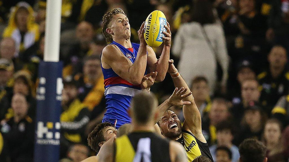 Differing Opinions: Previewing Western Bulldogs V Richmond