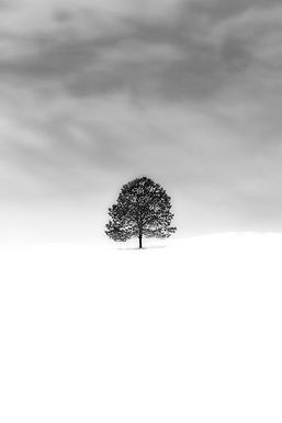 Image-empty-state.png