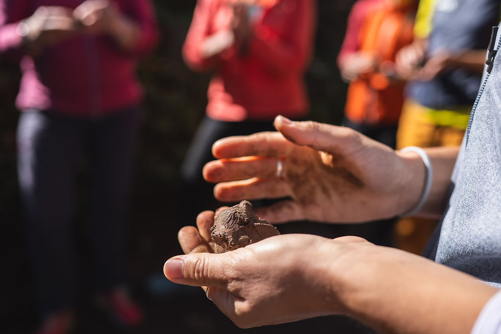 Test della plasticità.
