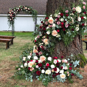 flowertree crop.jpeg