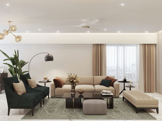 Living room , couch , plant, modern, chic, 