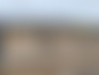 Red Fern Park Progress!