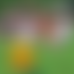 Minecraft 2026 Update: Baby Mobs, Big Changes & What iOS Players Need to Know