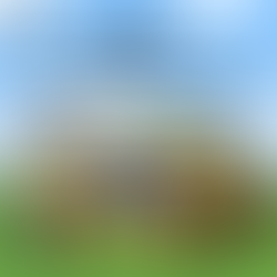 Does my child need the new Minecraft Marketplace pass?