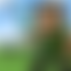 Unlocking Term 1, 2026 PvP Worlds