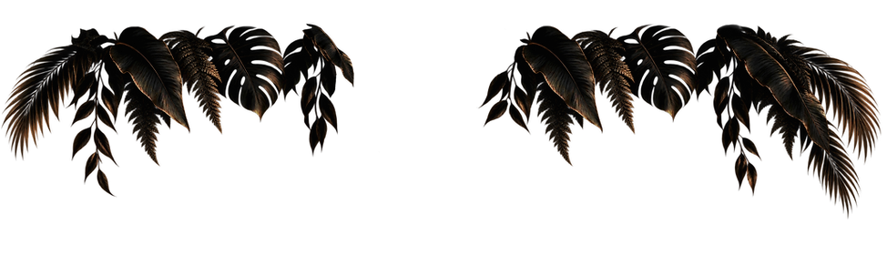 Animation_website_logo_22f5.png