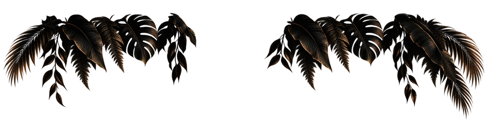Animation_website_logo_22f5.png