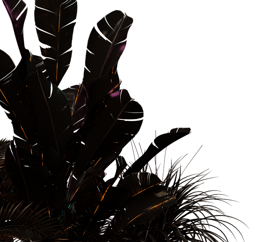Animation_website_logo_18b_edited.png