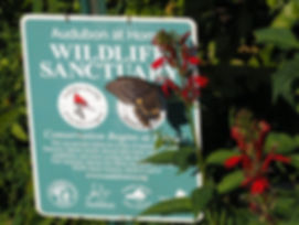 Audubo at Home Wildlife Sanctuay