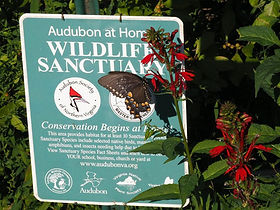 Audubo at Home Wildlife Sanctuay