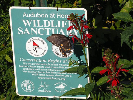 Audubo at Home Wildlife Sanctuay