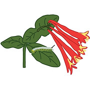 pnnjan18v1 logo