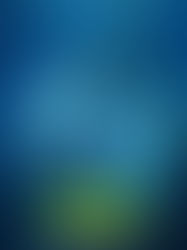 МЕГАЛОДОН – КНИГАТА СРЕЩУ ФИЛМА 🎞