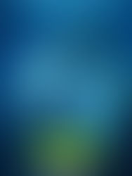 МЕГАЛОДОН – КНИГАТА СРЕЩУ ФИЛМА 🎞