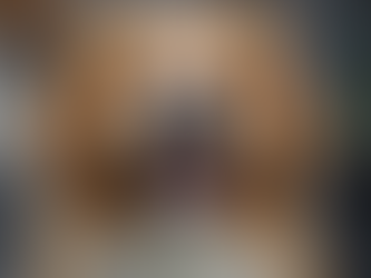 Experience the RoyalHounds Lifestyle with Our Pet Care