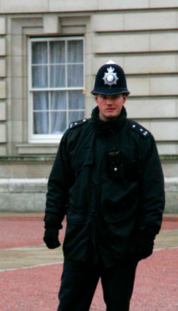 P5.jpg