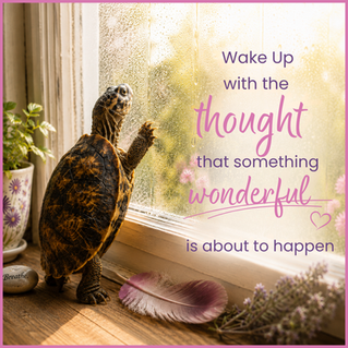 Turtle by a sunny window beside a Breathe stone and potted plant, with motivational text Wake Up with the thought wonderful.