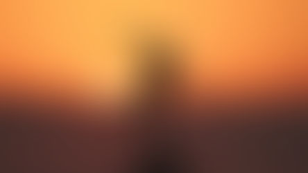 What is LIFE for you?