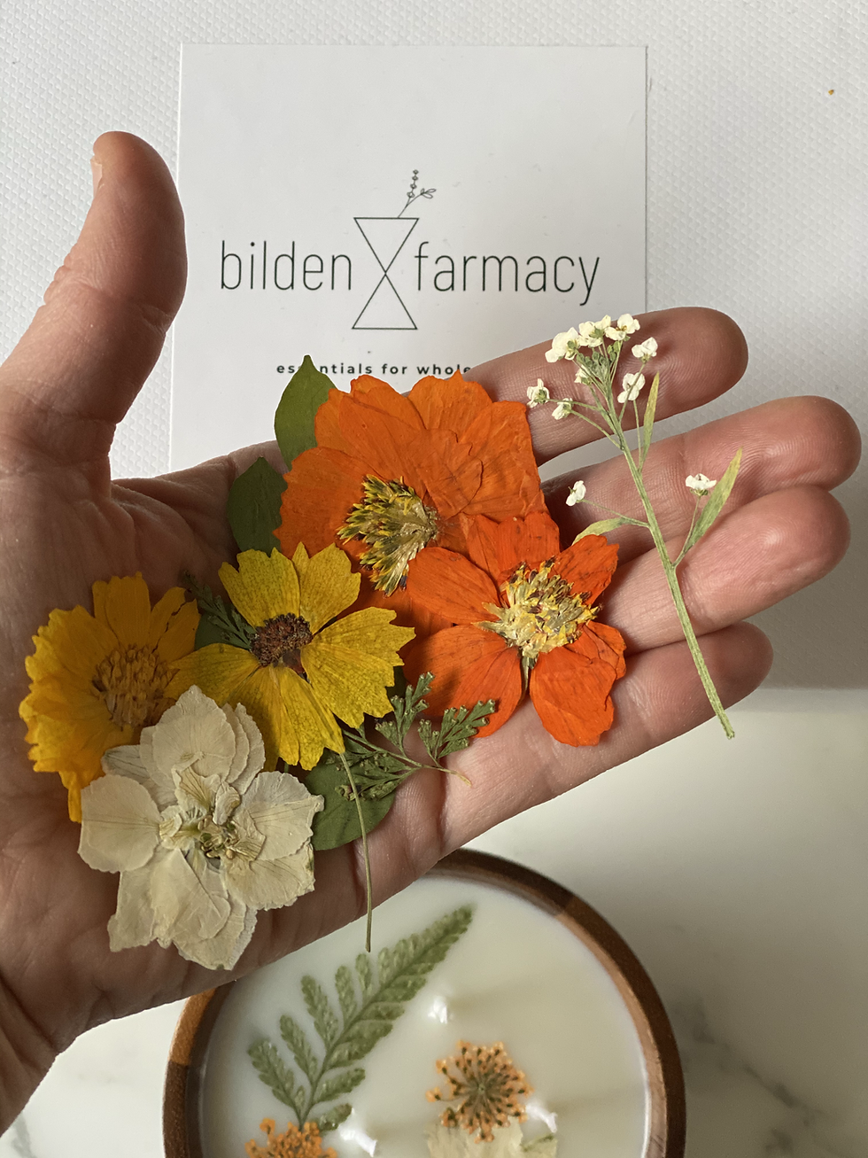 Thumbnail: Meadow Heritage ☐ hand-poured soy wax candle 250mL
